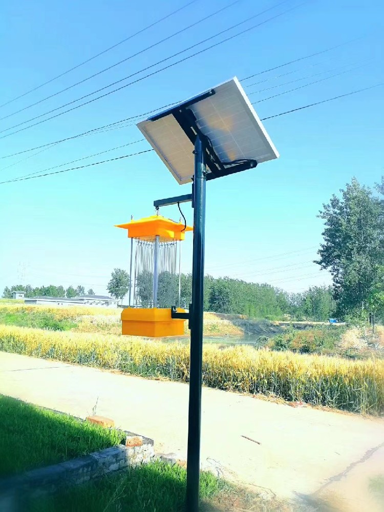 大理太陽能殺蟲燈