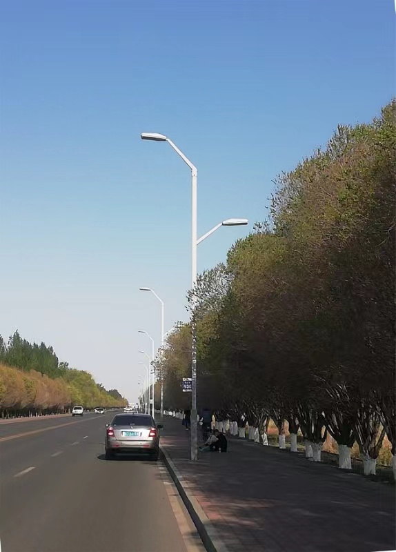 濰坊12米高低臂路燈